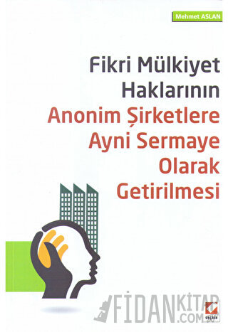 Fikri Mülkiyet Haklarının Anonim Şirketlere Ayni Sermaye Olarak Getirilmesi