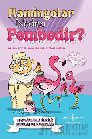 Flamingolar Neden Pembedir? Hayvanlarla İlgili Sorular ve Yanıtları