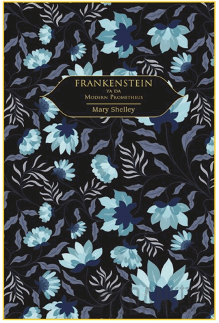 Frankenstein (Ciltli) Mary Shelley