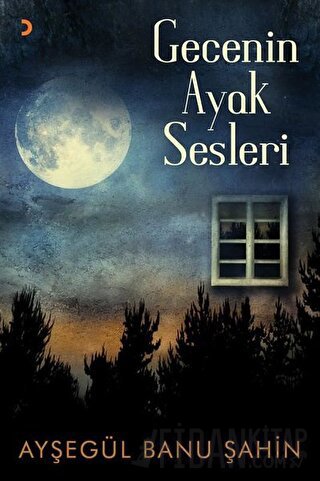 Gecenin Ayak Sesleri