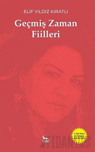Geçmiş Zaman Fiilleri