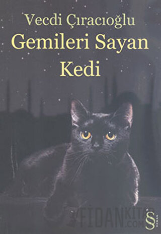 Gemileri Sayan Kedi