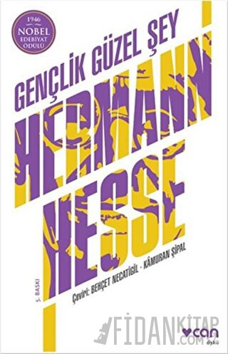 Gençlik Güzel Şey Hermann Hesse