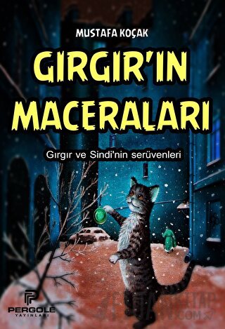 Gırgır'ın Maceraları
