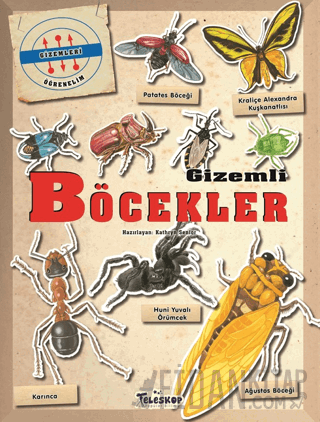 Gizemleri Öğrenelim - Gizemli Böcekler