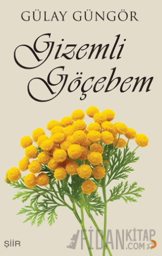 Gizemli Göçebem