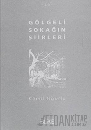 Gölgeli Sokağın Şiirleri