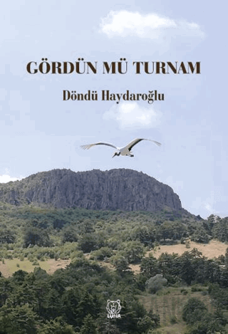 Gördün Mü Turnam