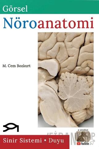 Görsel Nöroanatomi