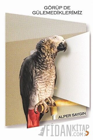 Görüp de Gülemediklerimiz