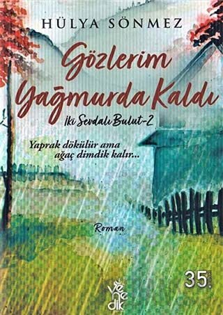 Gözlerim Yağmurda Kaldı Hülya Sönmez