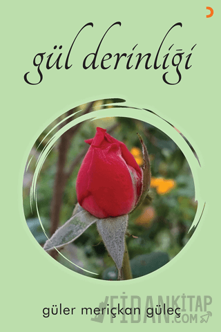 Gül Derinliği