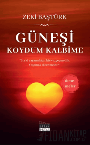 Güneşi Koydum Kalbime