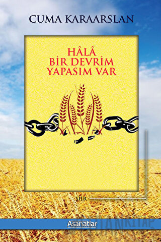Hala Bir Devrim Yapasım Var