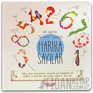 Harika Sayılar (Kapakçıklı) (Ciltli)