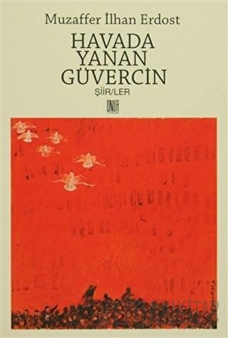 Havada Yanan Güvercin