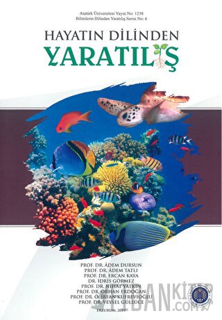 Hayatın Dilinden Yaratılış