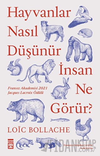 Hayvanlar Nasıl Düşünür İnsan Ne Görür?