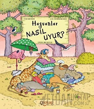 Hayvanlar Nasıl Uyur?