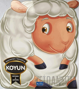 Hayvanları Tanıyalım - Koyun