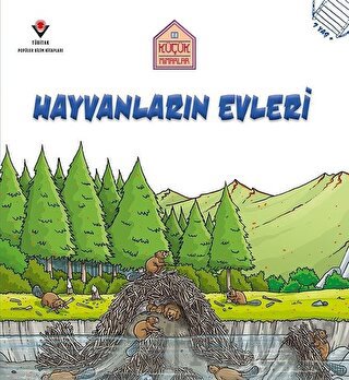 Hayvanların Evleri - Küçük Mimarlar Saranne Taylor