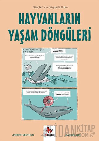 Hayvanların Yaşam Döngüleri