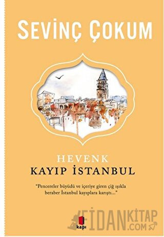 Hevenk: Kayıp İstanbul Sevinç Çokum