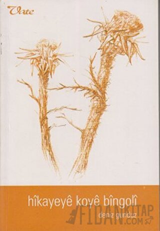 Hikayeye Koye Bingoli
