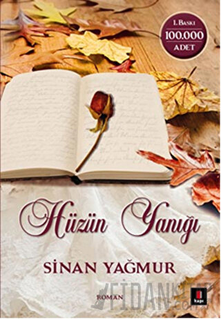 Hüzün Yanığı Sinan Yağmur