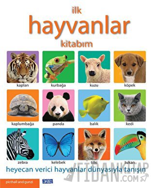 İlk Hayvanlar Kitabım