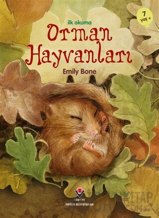 İlk Okuma - Orman Hayvanları Emily Bone