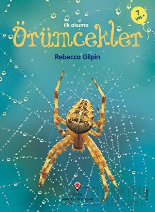 İlk Okuma Örümcekler