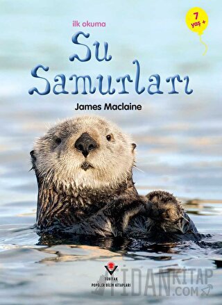 İlk Okuma - Su Samurları