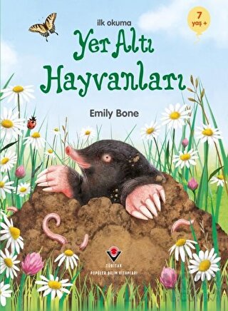 İlk Okuma - Yer Altı Hayvanları