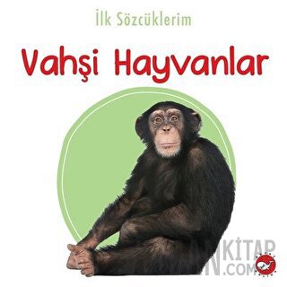 İlk Sözcüklerim -Vahşi Hayvanlar
