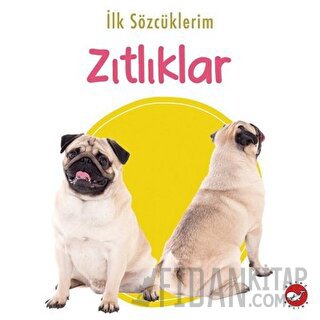 İlk Sözcüklerim - Zıtlıklar