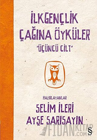İlkgençlik Çağına Öyküler 3. Cilt