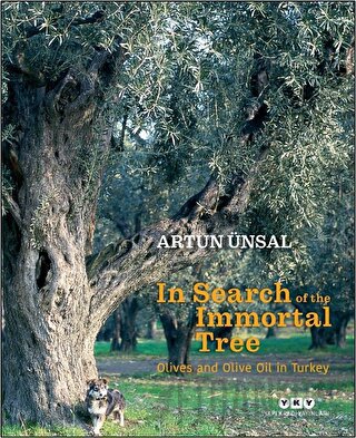 In Search Of The Immortal Tree/ Olives and Olive Oil in Turkey (Ölmez 