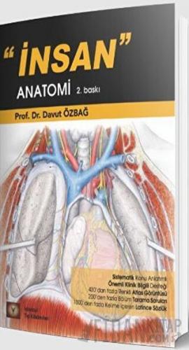 İnsan Anatomi