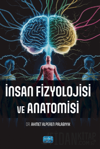 İnsan Fizyolojisi ve Anatomisi