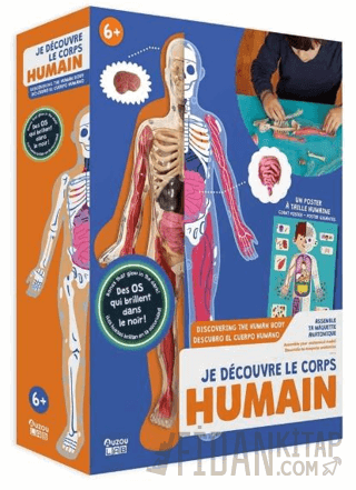 İnsan Vücudunu Keşfediyorum Poster -Model ve Kitap Kolektif