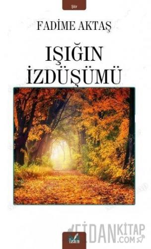 Işığın İzdüşümü