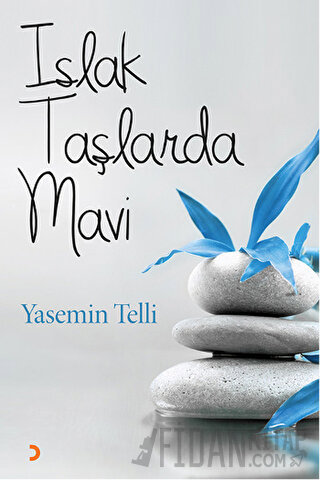 Islak Taşlarda Mavi