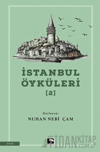 İstanbul Öyküleri 2