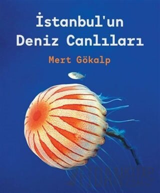 İstanbul'un Deniz Canlıları (Ciltli) Mert Gökalp