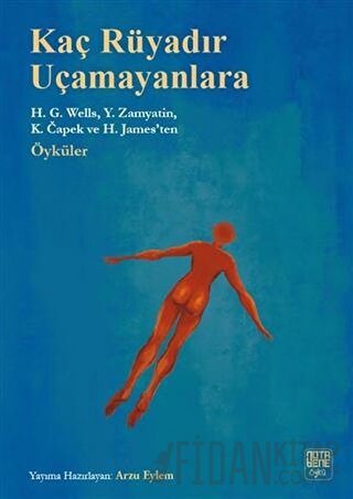 Kaç Rüyadır Uçamayanlara