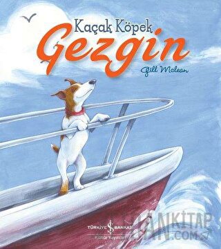 Kaçak Köpek Gezgin