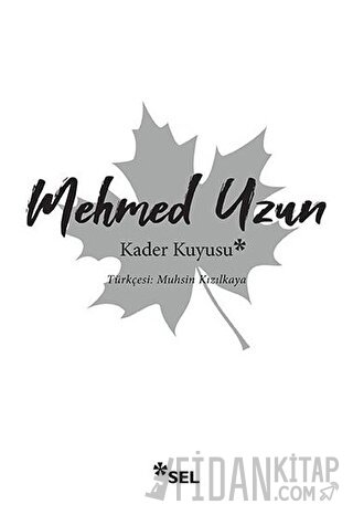 Kader Kuyusu Mehmed Uzun