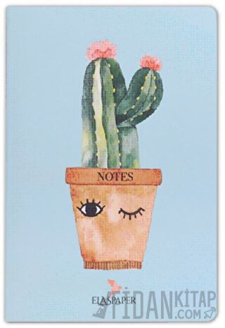 Kaktüs Saksı - Defter Kolektif