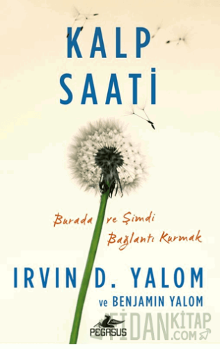 Kalp Saati Irvin D. Yalom
